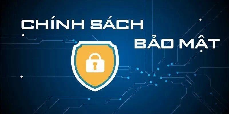 Chính sách bảo mật và những thông tin giới thiệu liên quan 