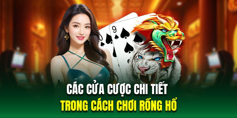 Khám phá đôi nét về trò chơi bài Dragon Tiger